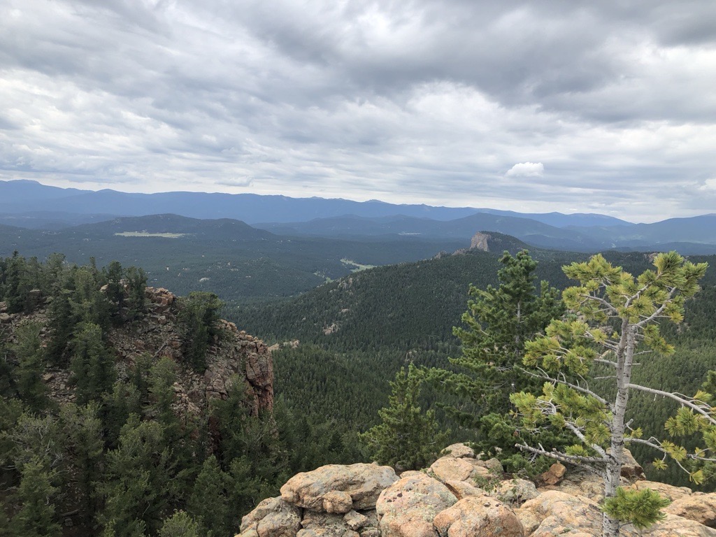 Elevated view of dense Colorado pine forest and mountain landscape used for defensible space inspection