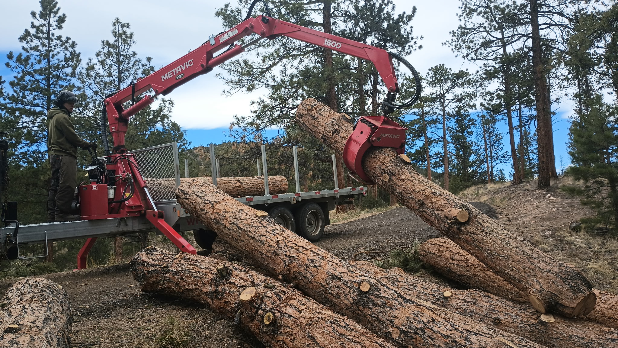 Mammoth Mitigation crew loading ponderosa pine logs onto a trailer in the Colorado mountains