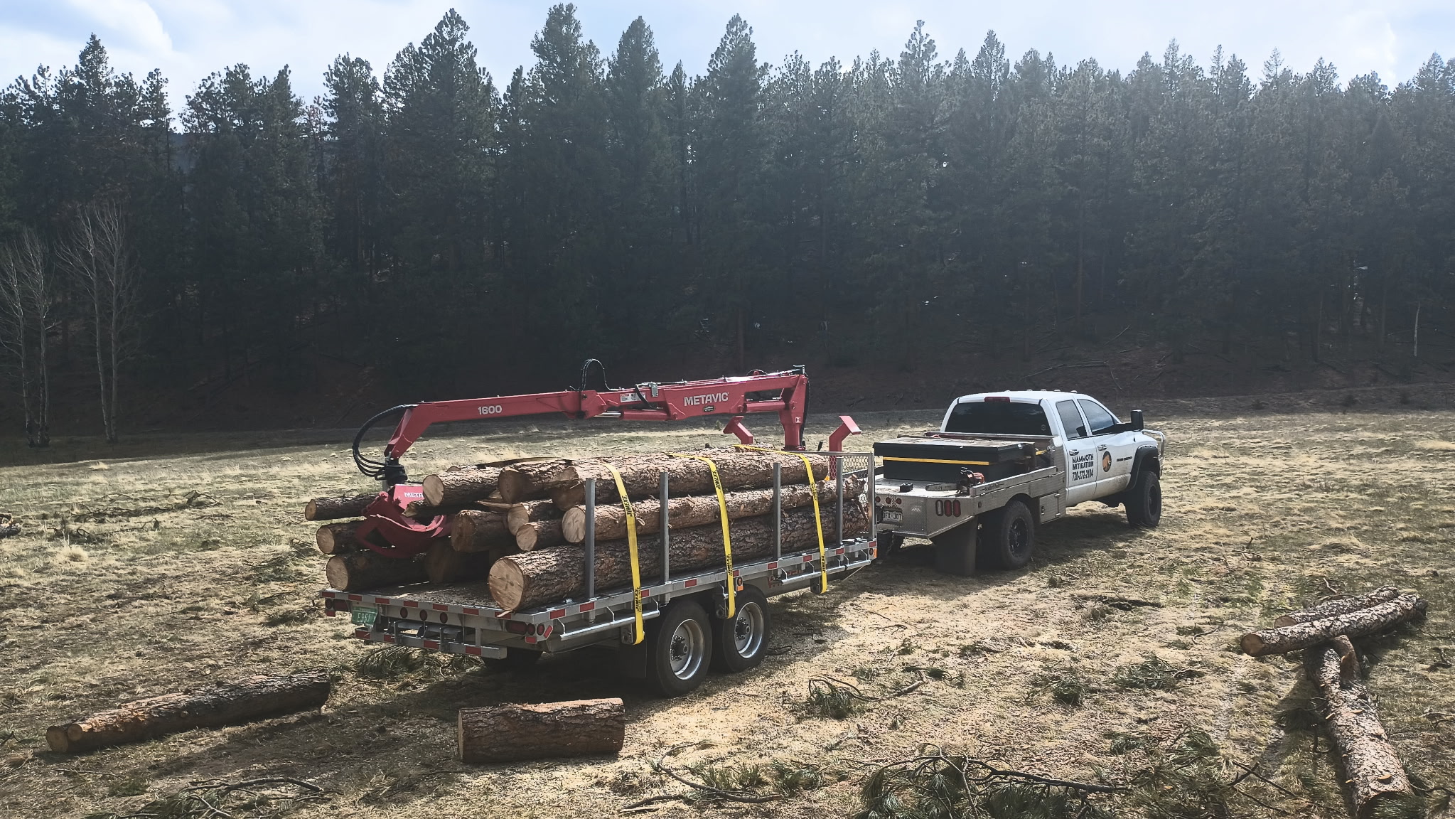 Truck and trailer hauling logs through a Colorado meadow during forest mitigation work